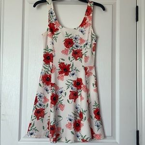 H&M Skater Dress